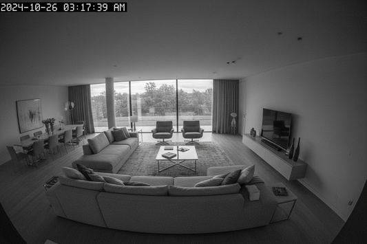 HOW HAWOOD CAMERAS HELP YOU PROTECT YOUR HOME 24/7